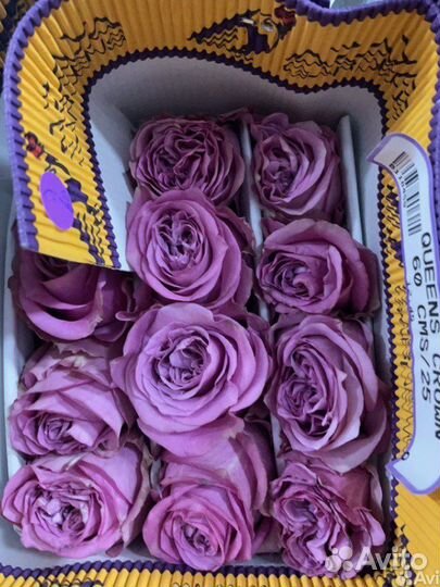 Розы без посредников. Букеты из роз 15 - 101шт