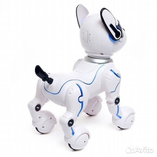 Робот собака 'Фьючер' zhorya, на пульте управления