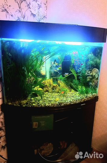 Аквариум с тумбой