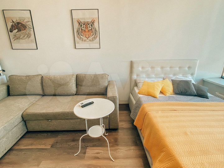 Квартира-студия, 24,4 м², 13/17 эт.