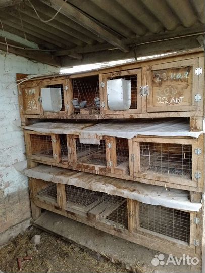 Клетка для кролика
