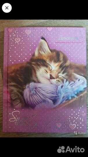 Дневники,Физика