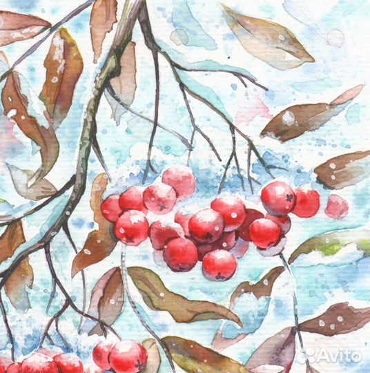 Рябина акварель