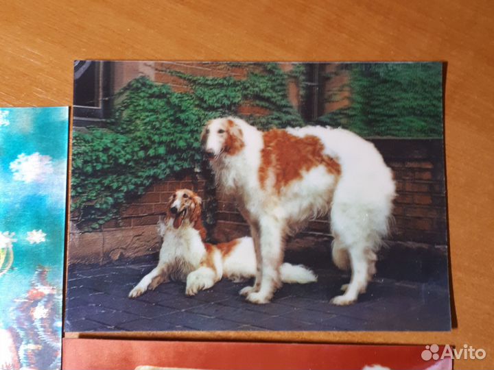 Стерео открытки Япония. 70е г