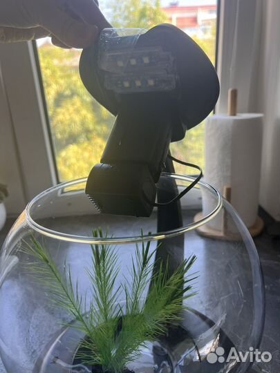 Аквариум tetra