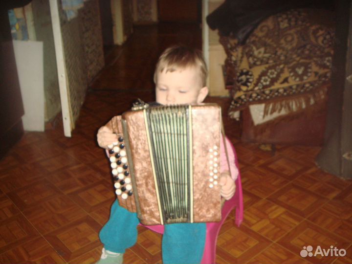 Аккордеон малыш с футляром Баян детский