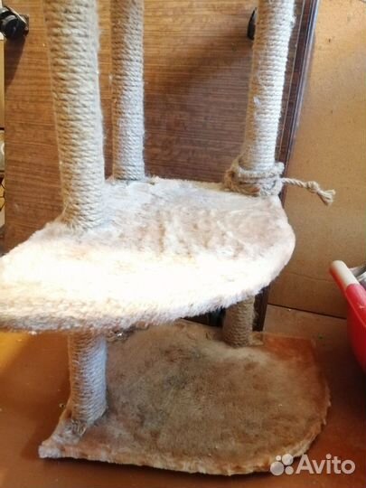 Когтеточка-лежанка для кошек бу