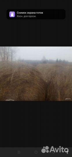 Сено в тюках