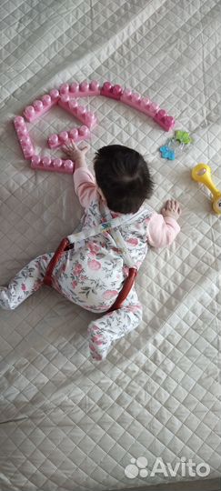 Шина Виленского