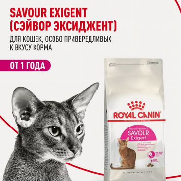 Корм для кошек