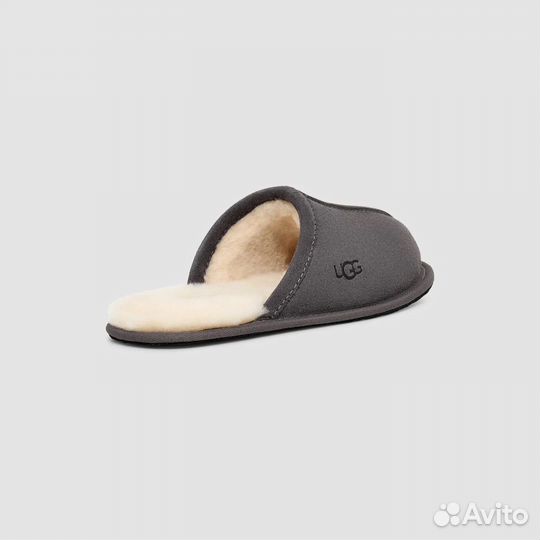 Ugg Men Scuff Dark Grey