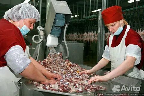 Фасовщик-упаковщик/ца вахта в Тамбов с жильем