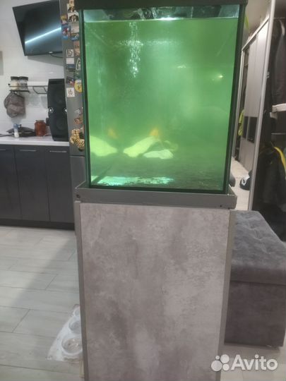 Аквариум
