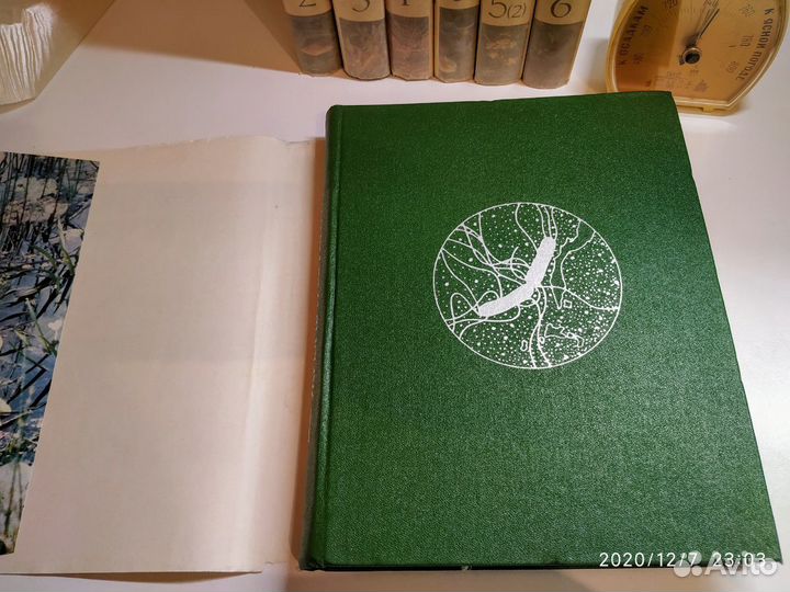 Энциклопедия жизнь растений