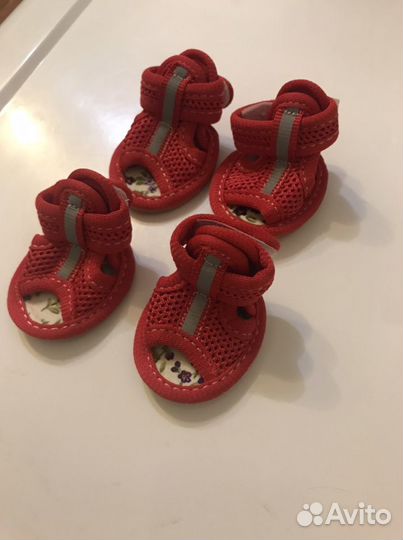 Обувь для животных