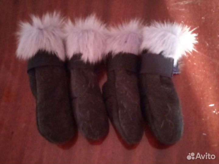 Сапожки для мелких собак