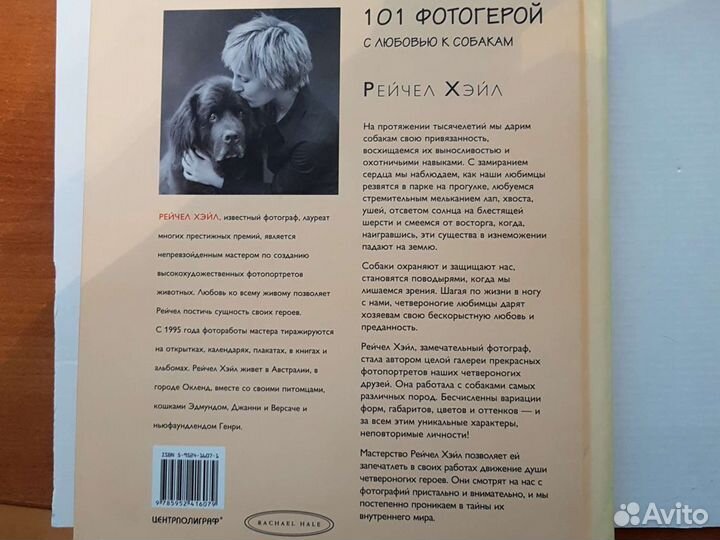 Рейчел Хейл 101 фотогерой / 101 котомодель