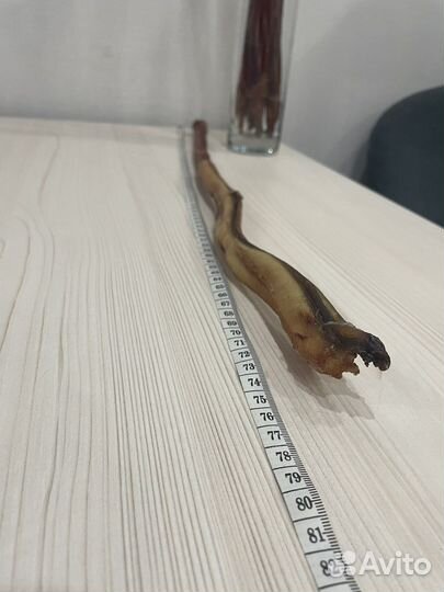 Бычий корень