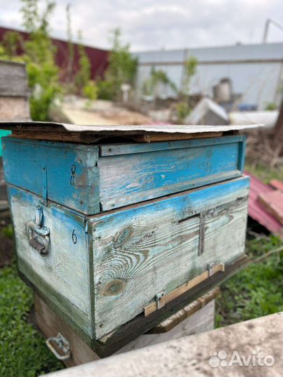 Улей для пчел