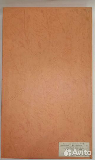 Коллекция образцов древесины СССР