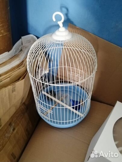Клетка для птиц. С полкой и всё что нужно для