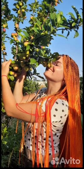 Косы. Дреды.Афроплетения различной сложности