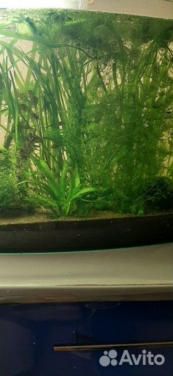 Украшение для аквариума