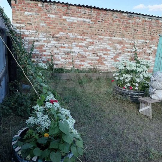 Дом 126 м² на участке 10 сот.