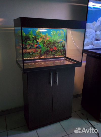Аквариум 100 свет биофильтр фон подставка