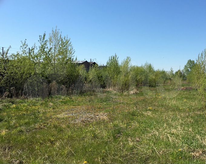 Участок 1,01 га (промназначения)