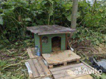 Будка для собаки