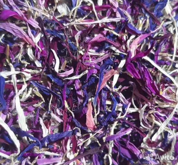 Разноцветная смесь лепестков астры однолетней