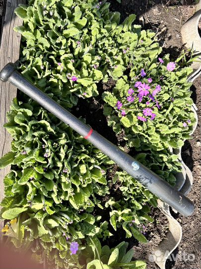 Бейсбольная бита