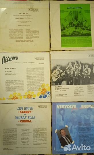 Песняры, Верасы, Весёлые ребята, Синяя птица, Лоза