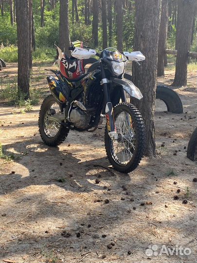 BSE Z5 Storm
