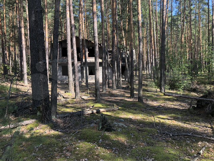 Участок 1,65 га (ИЖС)