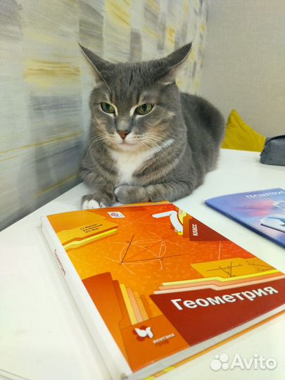 Репетитор по математике. Множество отзывов