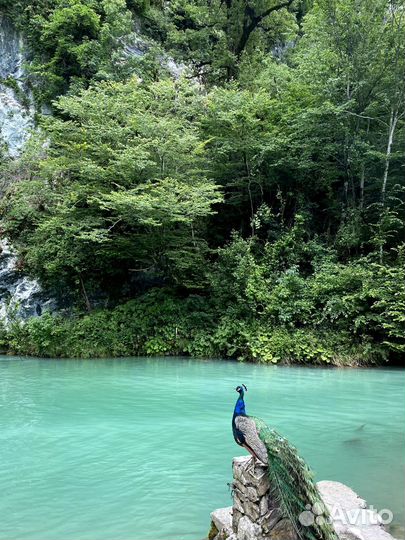 VIP тур по Абхазии