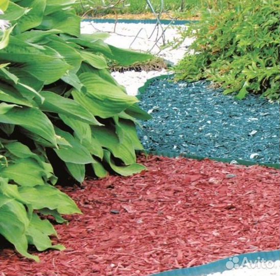 Щепа крашеная