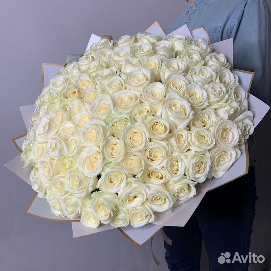 Розы, 25 роз