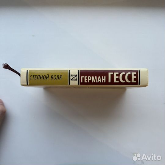 Герман Гессе - Степной Волк