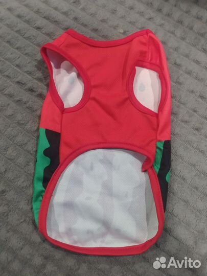 Одежда для собак