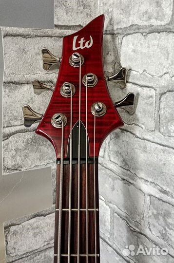 Пятиструнная бас гитара ESP LTD F-255FM (+чехол)