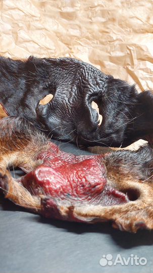 Лакомства для собак