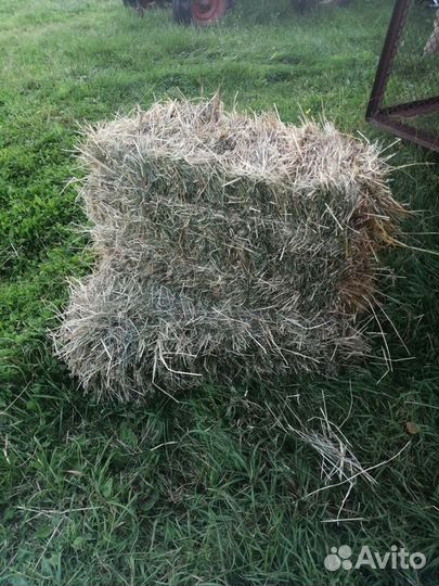 Сено в тюках