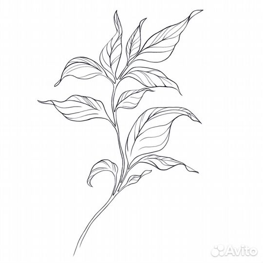 Тату мастер/ модель на тату/ тату за расходники