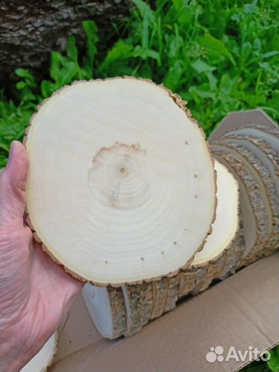 Спилы дерева для поделок и творчества