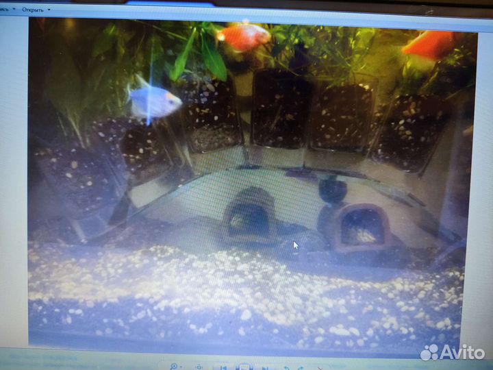 Декор для аквариума