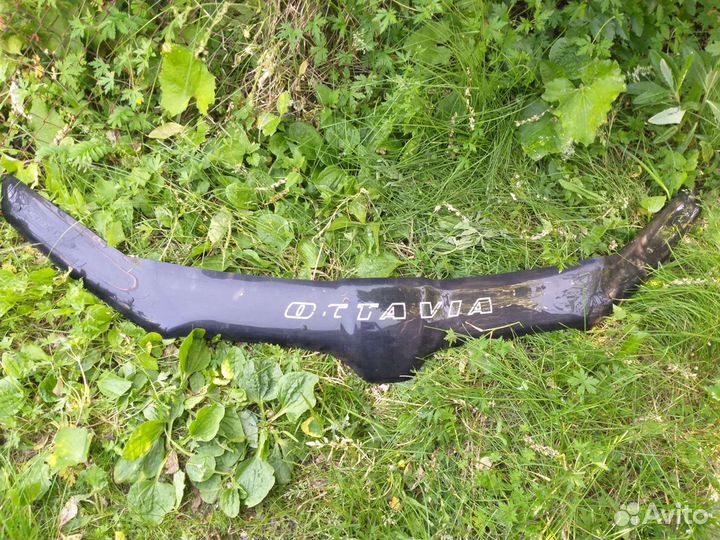 Мухабойка на октавию