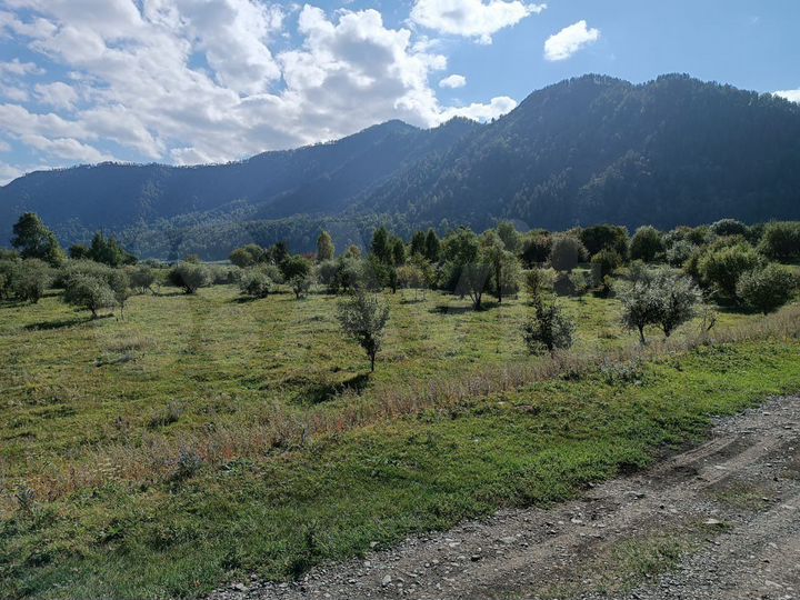 Участок 3,8 га (СНТ, ДНП)